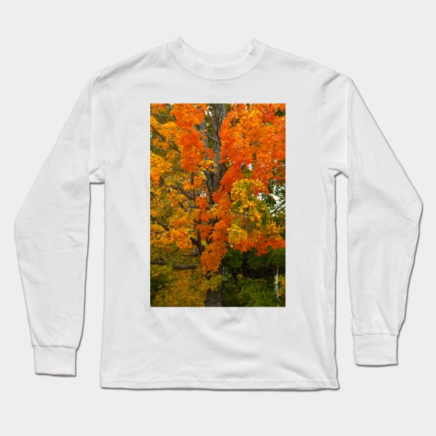 Orange & Yellow Tree Long Sleeve T-Shirt by srwdesign